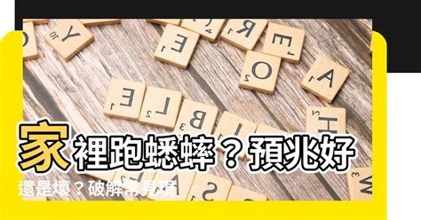 家裡跑蟋蟀|【蟋蟀跑進家裡】蟋蟀跑進家裡，預示著什麼？徵兆如何破解？